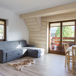 Apartament Słoneczny 12 - salonu z rozkładaną dwuosobową sofą