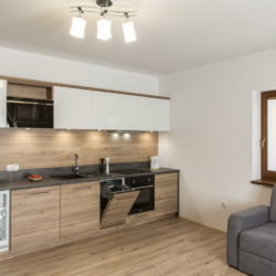 Apartament Słoneczny 12 - aneks kuchenny, lodówka, zmywarka