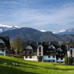 Apartament Słoneczny 12 - widok na Tatry i owieczki