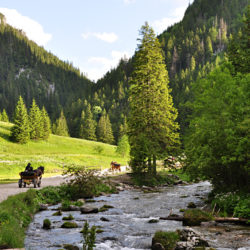 Tatry Dolina Kościeliska - rzeka
