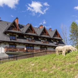 Apartament Słoneczny B5 widok na zewnątrz i owieczki